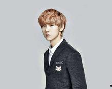 鹿晗反面爆料视频合集在线观看,反面爆料视频合集深度解析